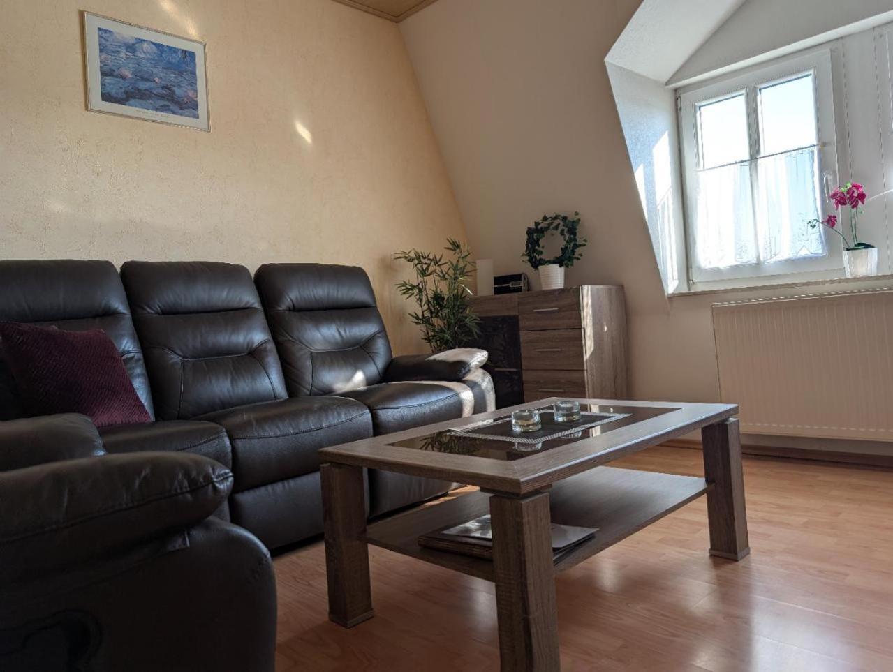 Ambiente-An-Der-Elbe-Wohnung-Og Drážďany Exteriér fotografie